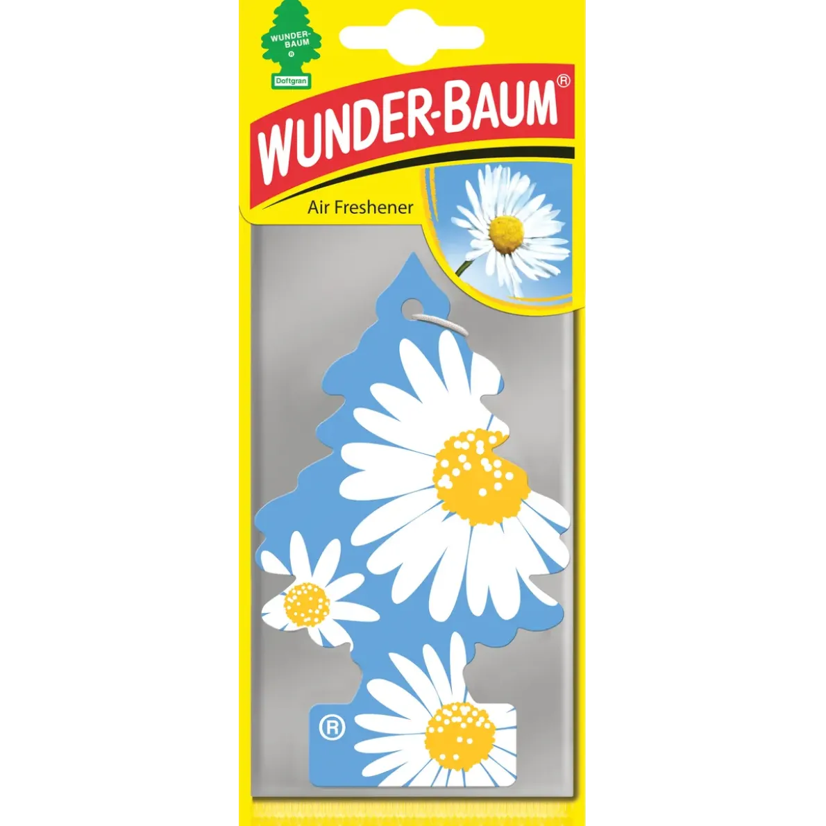 DAISY FLOWER 1-PACK