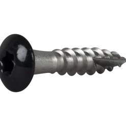 RÄNNKROKSKRUV ROSTFRI A2 SVART RAL9011 TX20 4,8X25 20ST