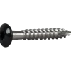 RÄNNKROKSKRUV ROSTFRI A2 SVART RAL9011 TX20 4,8X35 250ST