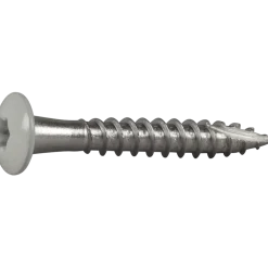 RÄNNKROKSKRUV ROSTFRI A2 VIT RAL9010 TX20 4,8X35 250ST