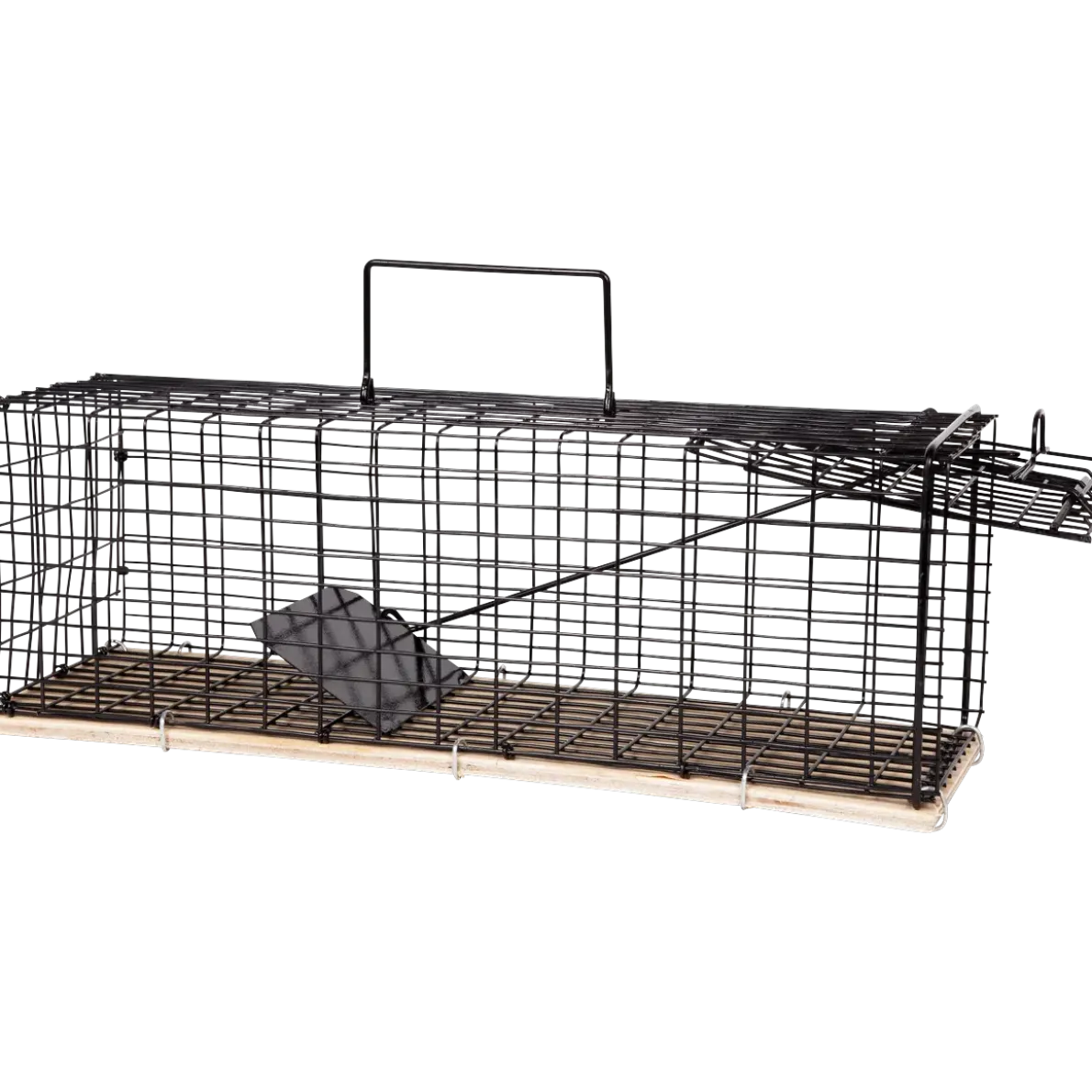 RÅTTFÄLLA BUR LION R1 METALL