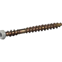 SOCKELSKRUV TX10 VITLACKERAD 3,9X42 20ST
